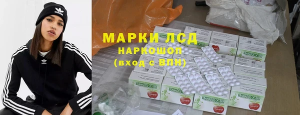 стаф Горняк