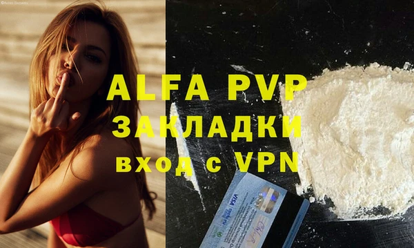 стаф Горняк