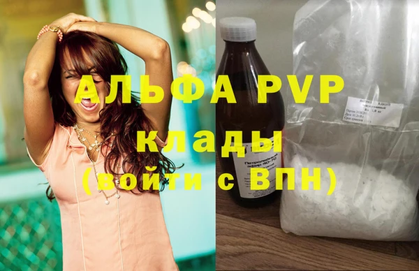 стаф Горняк
