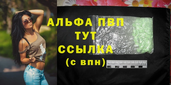 Альфа ПВП Горно-Алтайск